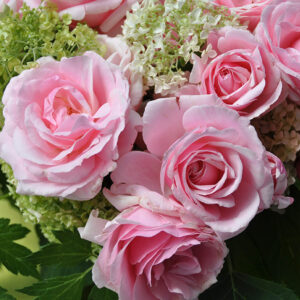 Роза Бие Ду