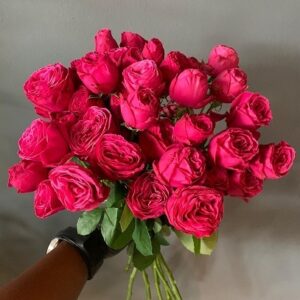 Хот Пинк Лейс