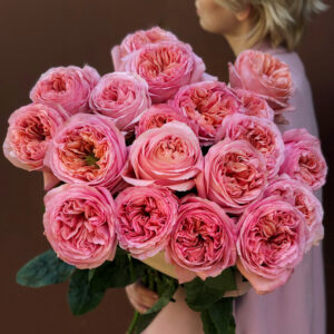 Роза Пинк Экспрешн