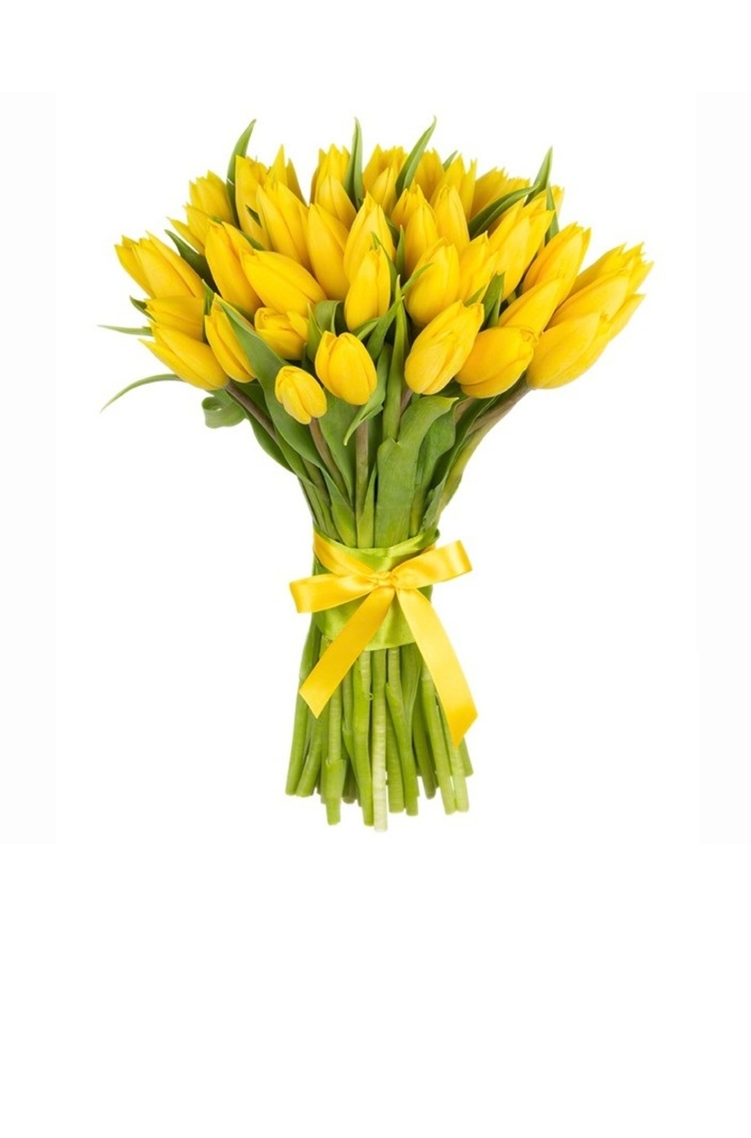 Тюльпаны 21шт — изображение 18