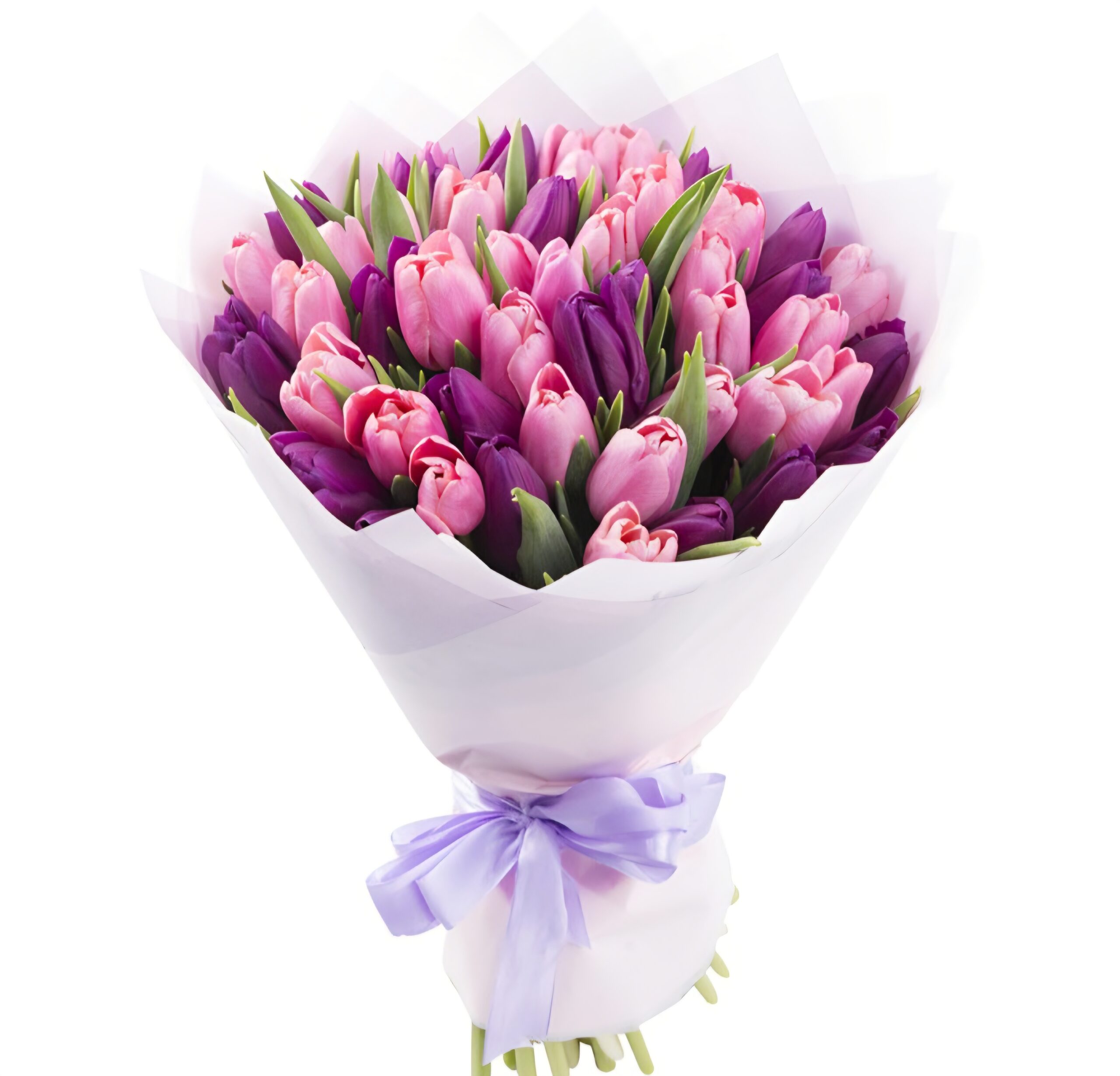 Тюльпаны 21шт — изображение 6