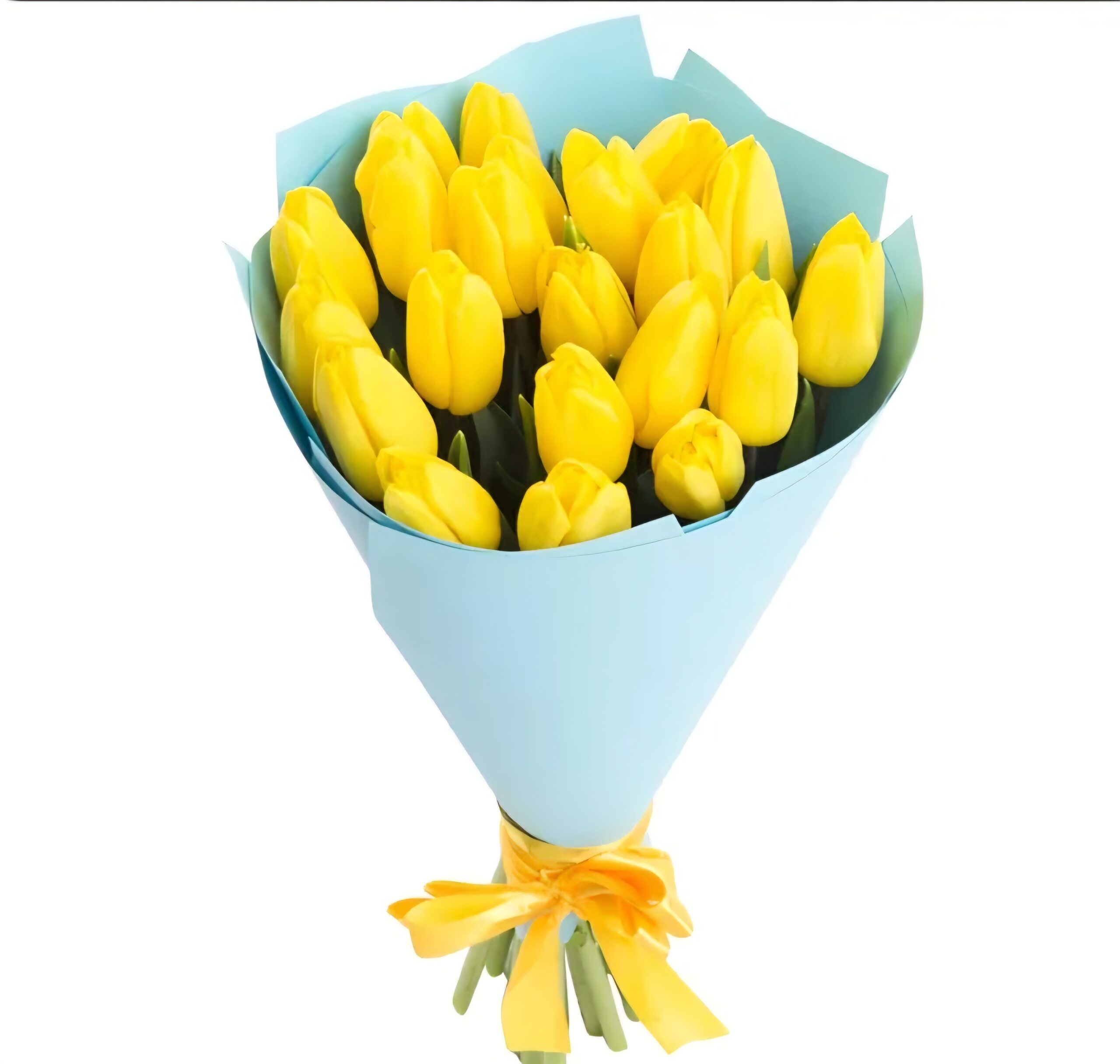 Тюльпаны 21шт — изображение 20