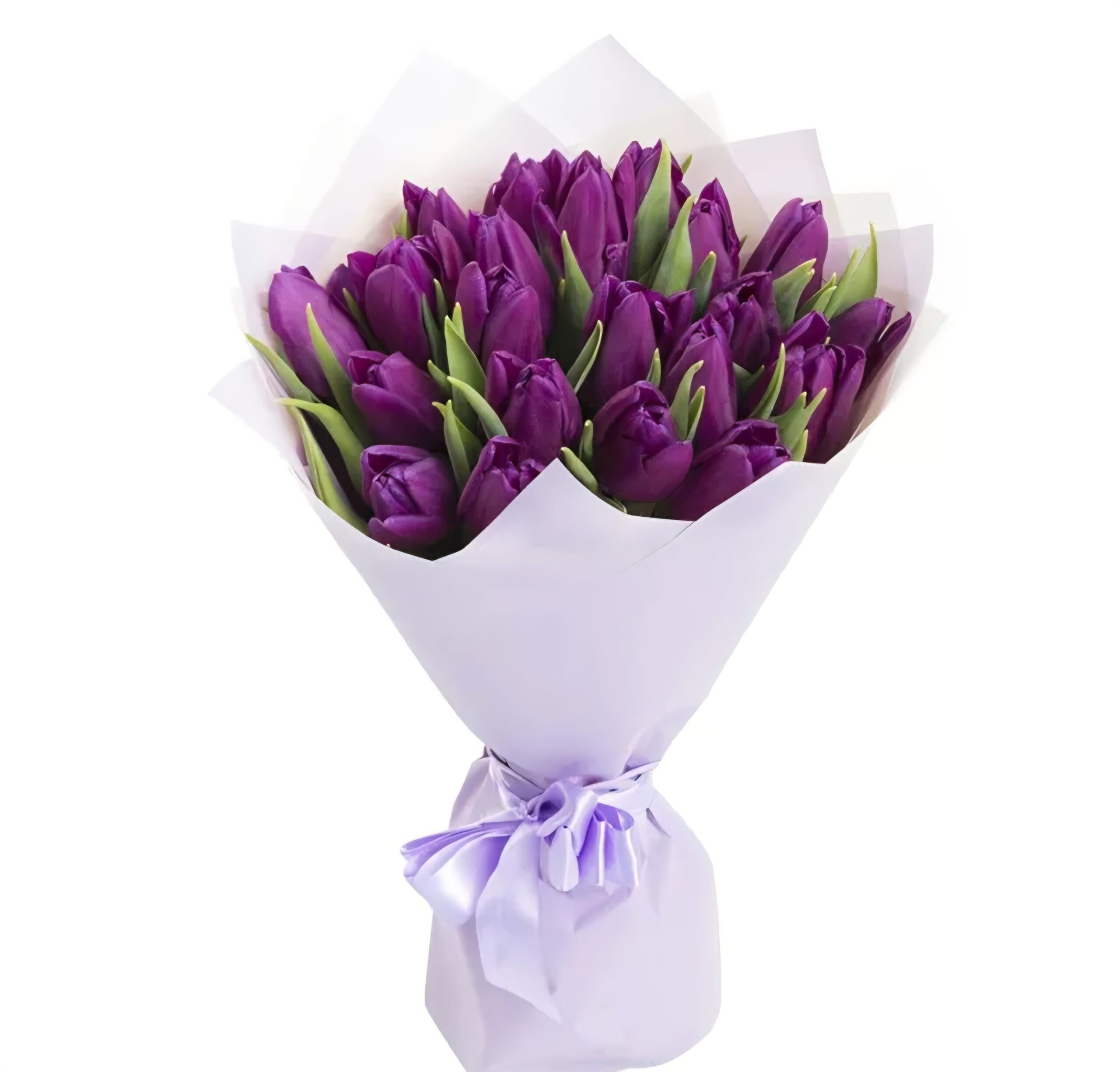 Тюльпаны 21шт