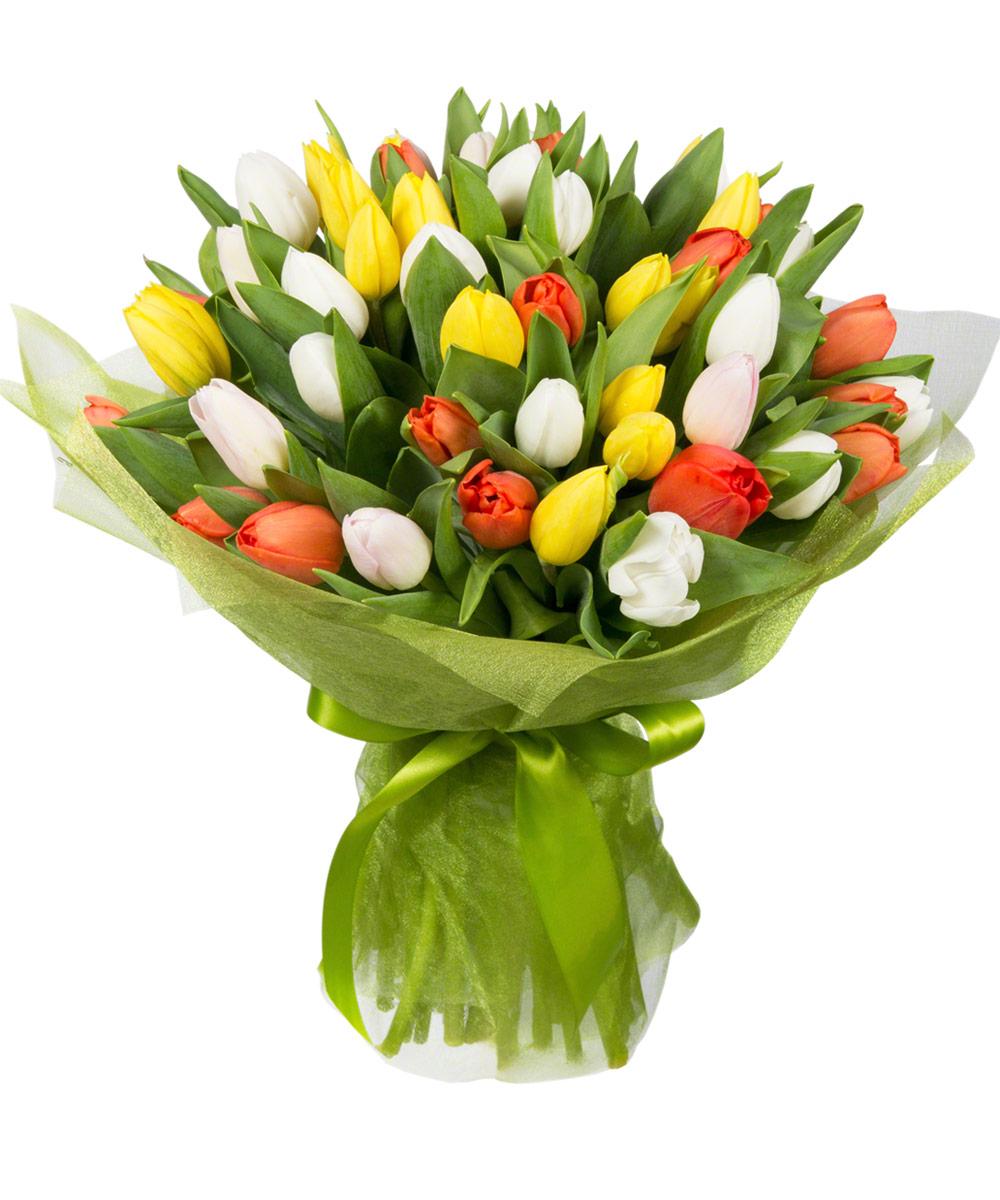 Тюльпаны 31шт — изображение 18