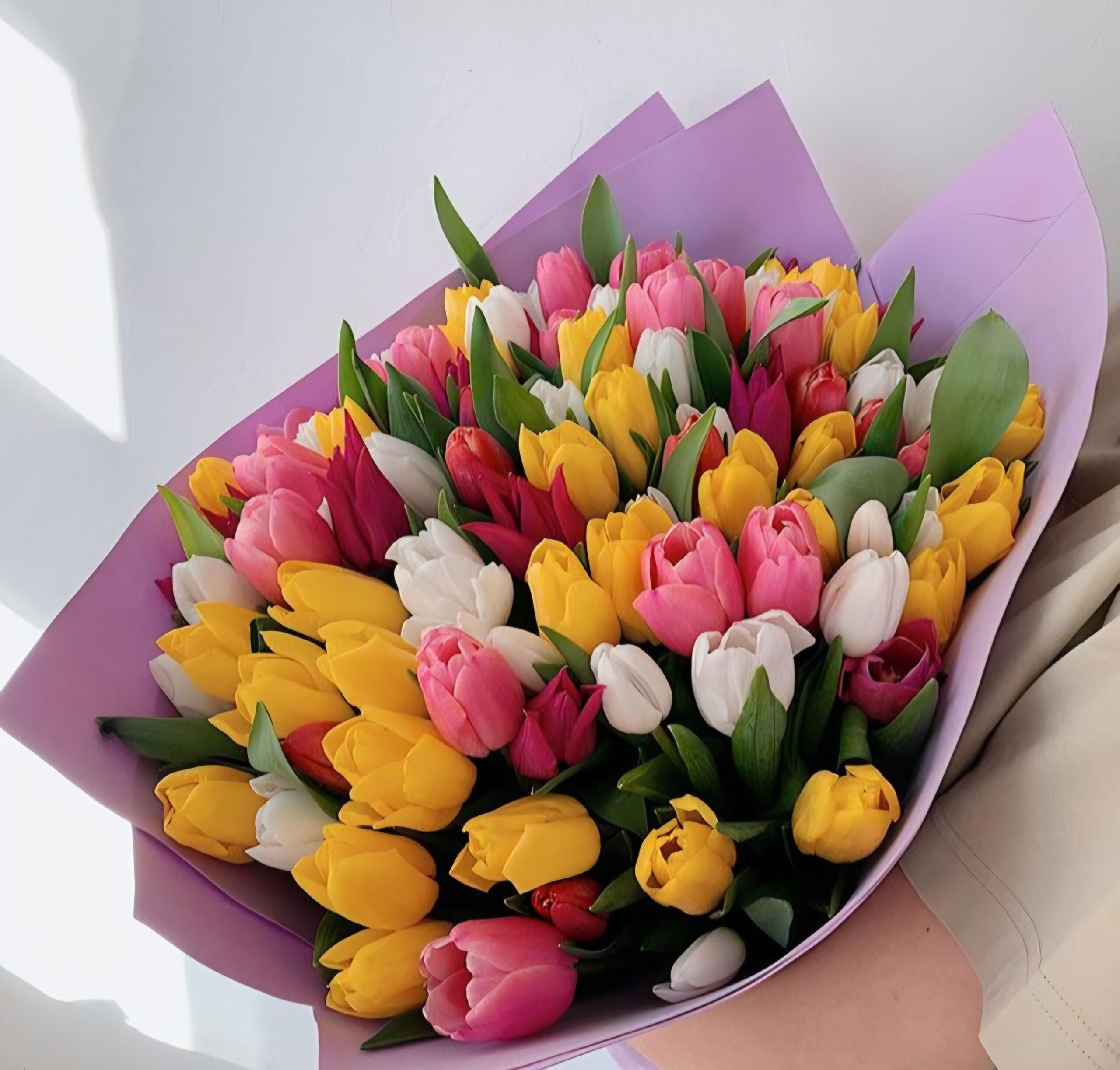 Тюльпаны 21шт — изображение 10