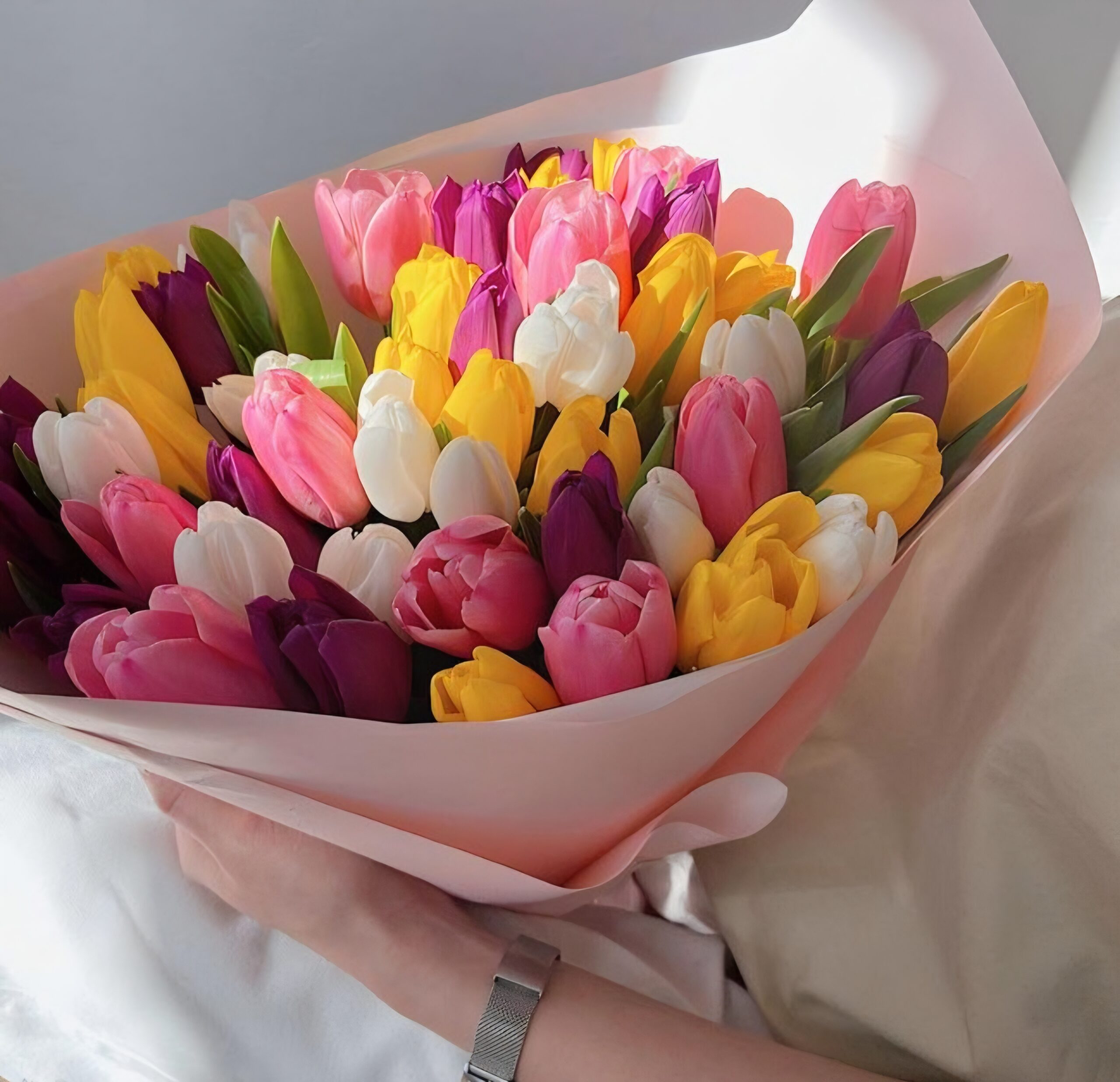 Тюльпаны 21шт — изображение 11