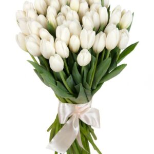 Тюльпаны 25шт