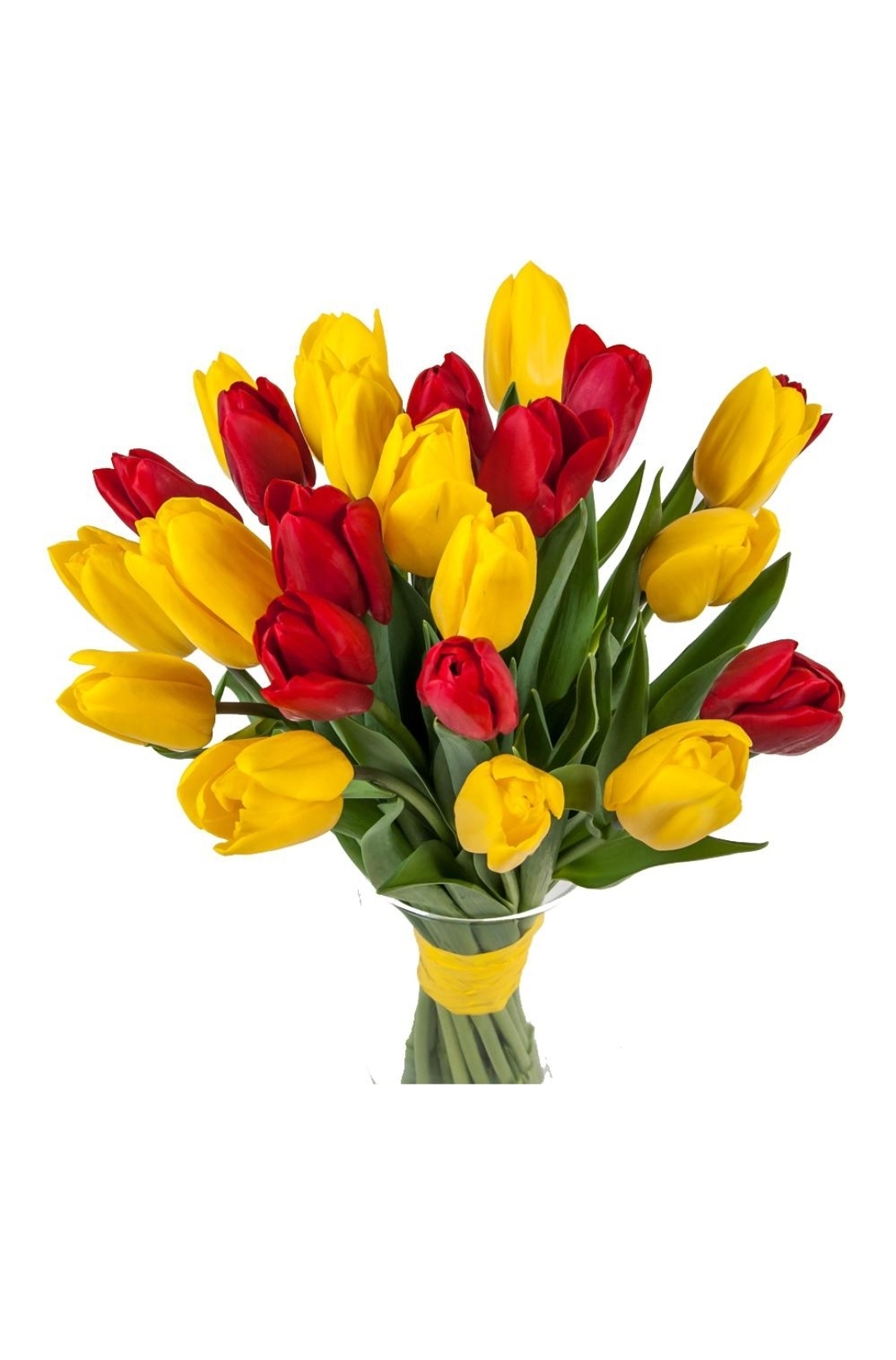Тюльпаны 31шт — изображение 20