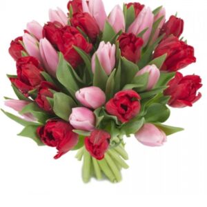 Тюльпаны 15шт