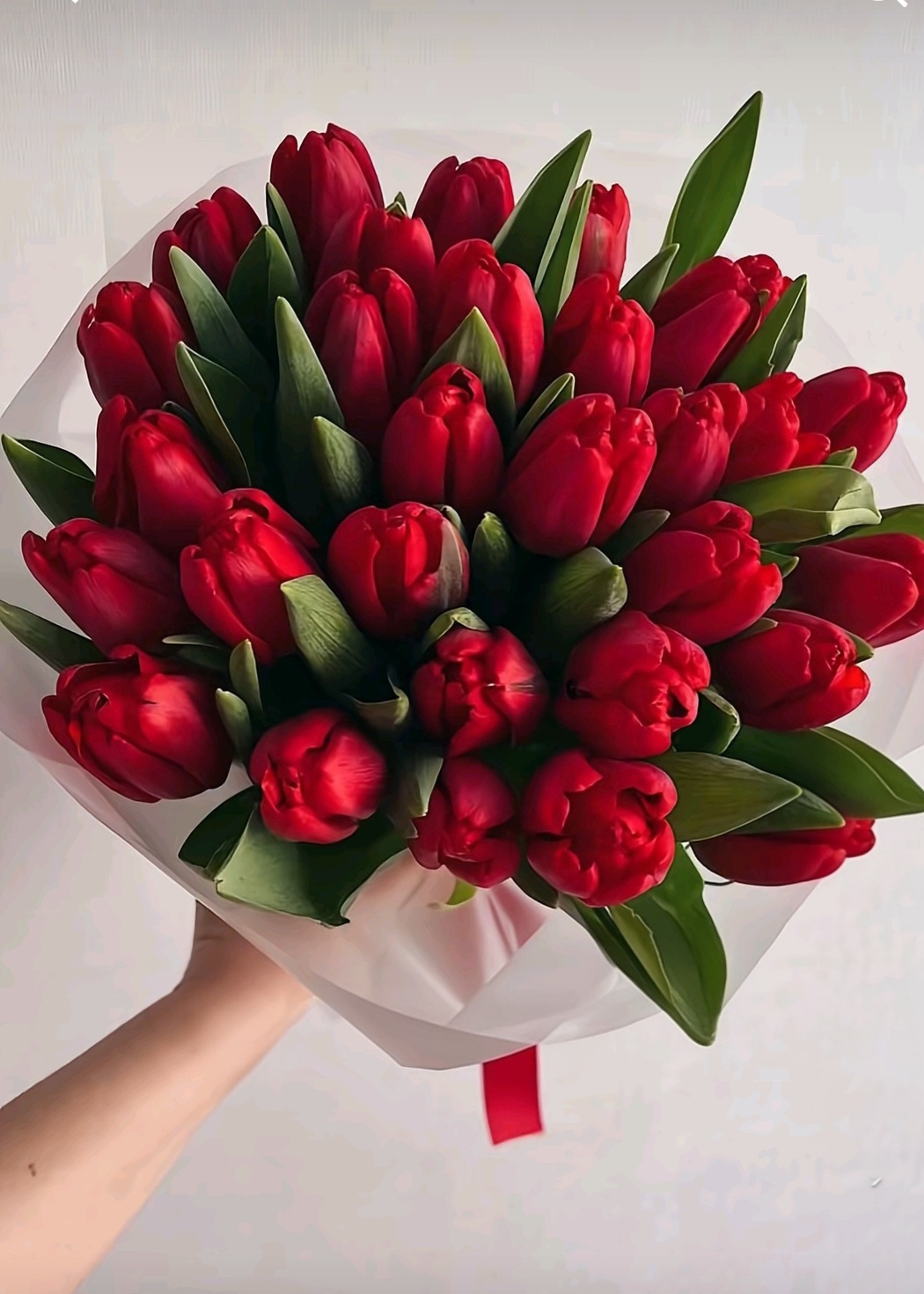 Тюльпаны 31шт — изображение 11