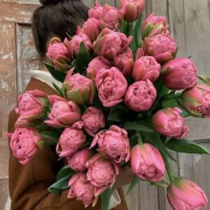 Тюльпан Эйчед Сальмон 5 шт