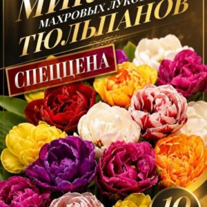Микс махровых тюльпанов 10 шт